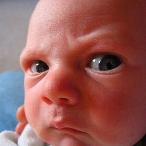 Meet your Posher, Rod